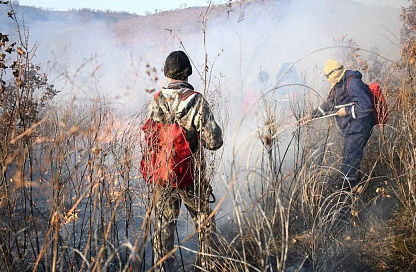 Василий Орлов подвёл итоги осеннего пожароопасного периода в Амурской области