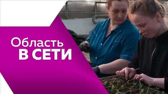 Область в сети. День оленевода, народный артист России в Благовещенске, подготовка к озеленению города.