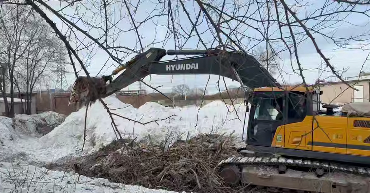 Фото: t.me/imameev