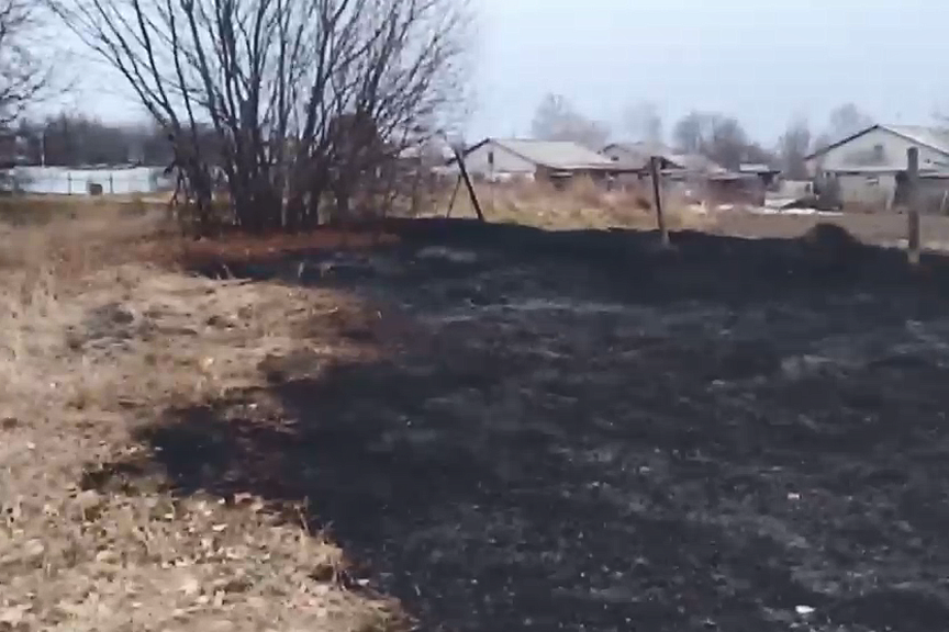 Фото и видео: t.me/FireDep41