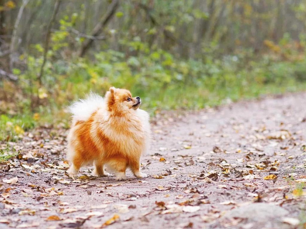 Фото: max.ru/id2801169387_gos