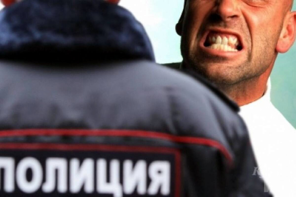 Фото: УМВД России по Амурской области
