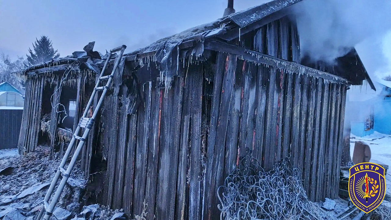 Фото: t.me/amursiespasateli