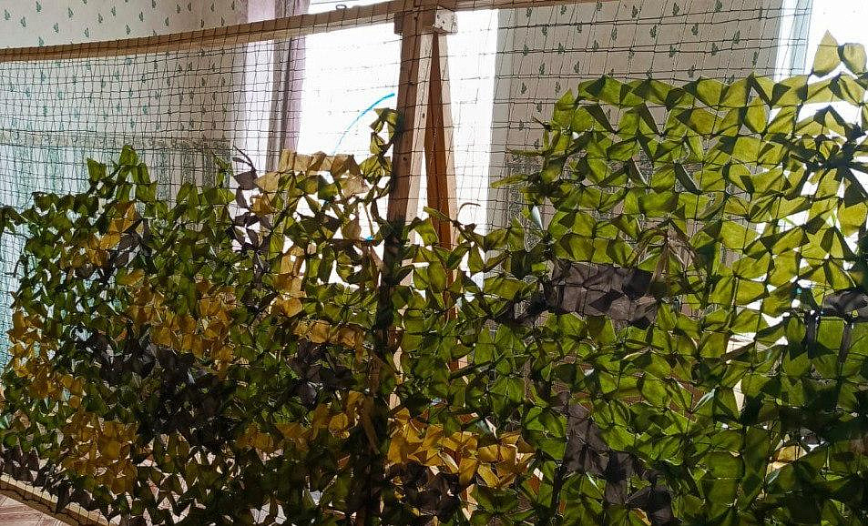 Фото: правительство Амурской области