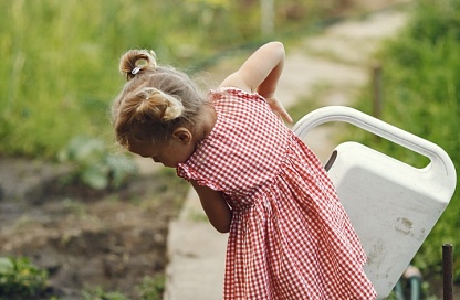 Более 30% родителей отправят своих детей на дачу во время летних каникул