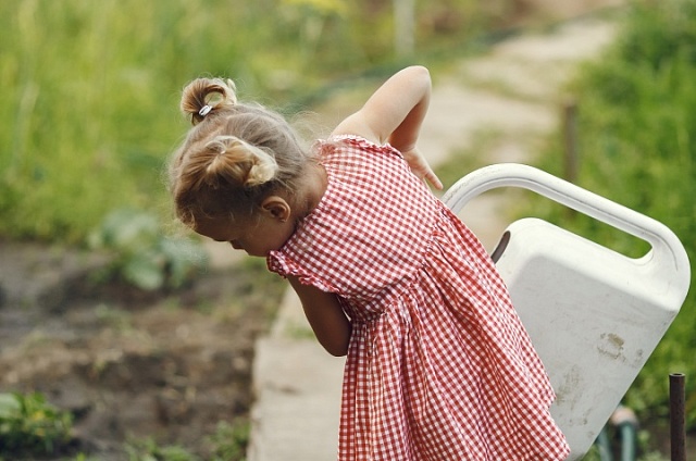 Более 30% родителей отправят своих детей на дачу во время летних каникул