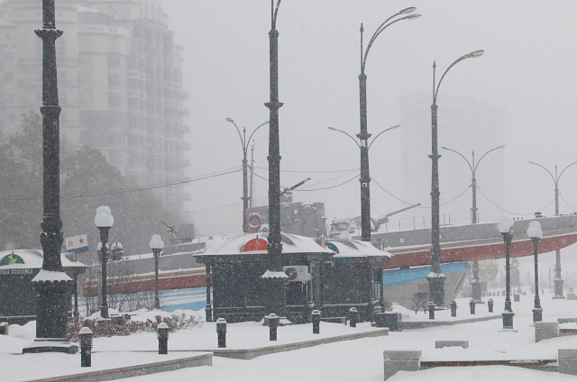 Вернулась зима: на АОТВ фотографии заснеженного Благовещенска