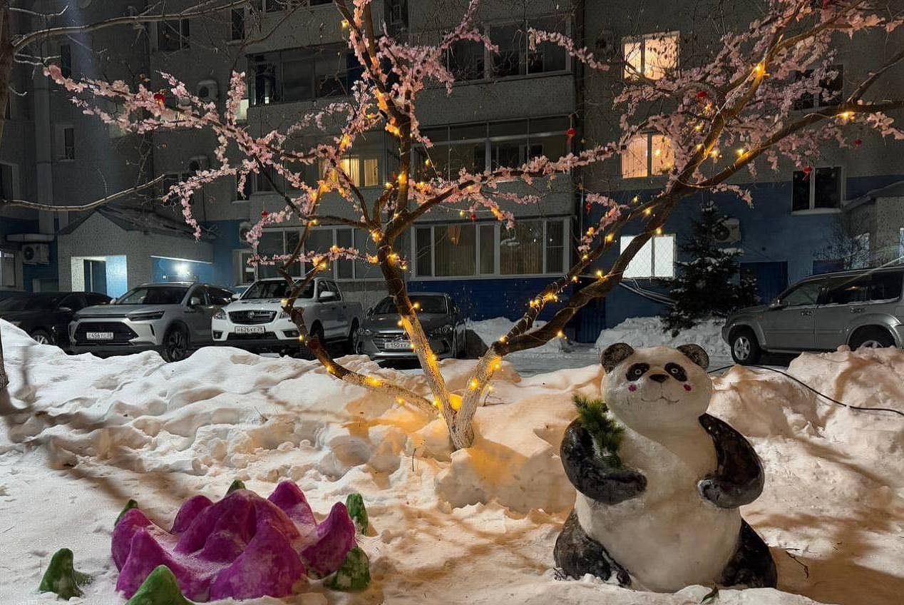 Фото: t.me/blagoveshchensk_rf