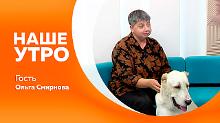 Наше утро. Чем полезны абрикосы, и как их правильно выбирать. МЧС России подготовили несколько практических советов для прогулок по лесу. Об упрямстве собак поговорим с Ольгой Смирновой.