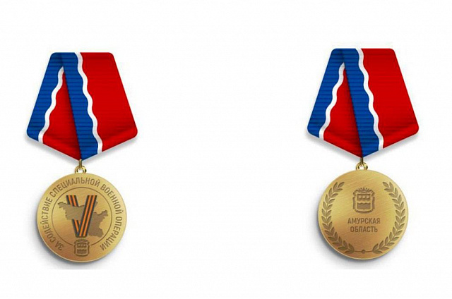 Василий Орлов показал макет амурской медали «За содействие специальной военной операции»