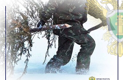 Штраф вместо праздника: чем может обернуться вырубка ёлки в лесу перед Новым годом