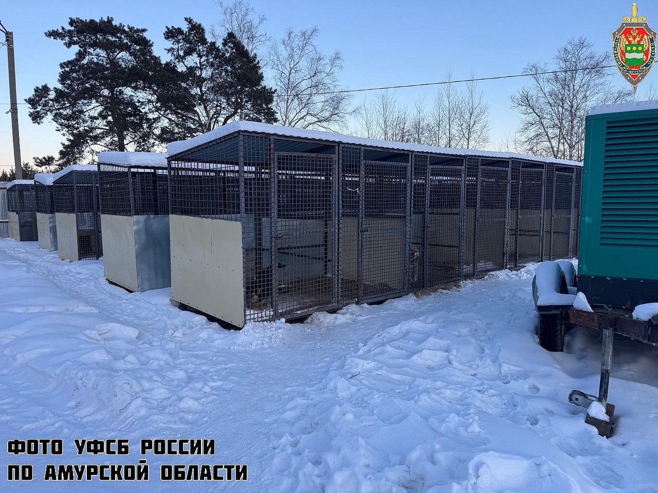 Фото: t.me/amursledcom