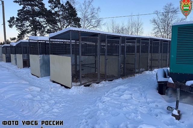 Деньги для собак остались в карманах: против дирекции приюта в Шимановске возбудили уголовное дело