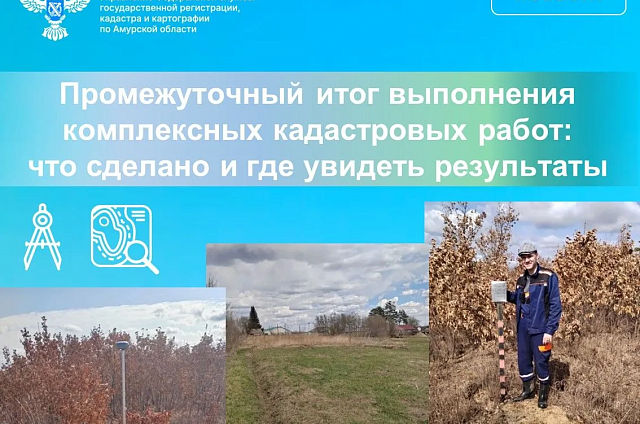 В Приамурье кадастровые работы охватили 442 квартала в 15 муниципалитетах