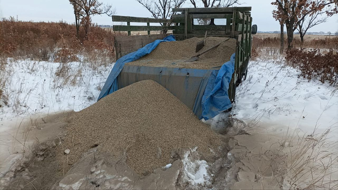 Фото: Дирекция по охране и использованию животного мира и ООПТ