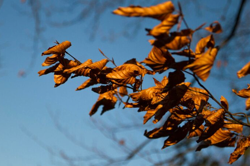 Фото: ru.freepik.com