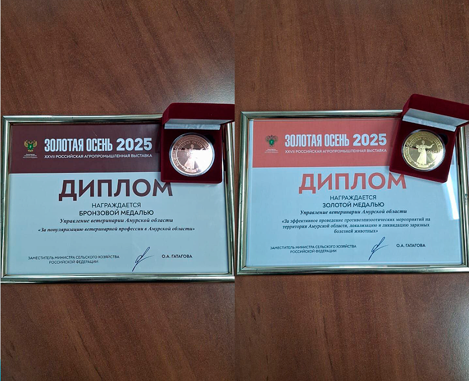 Фото: правительство Амурской области