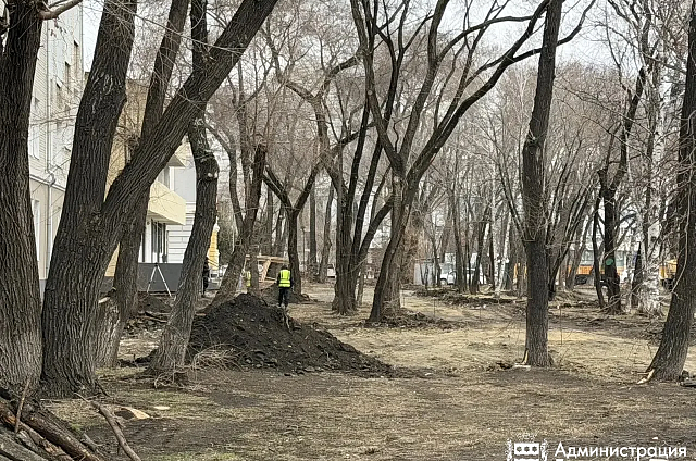 Сквер у педуниверситета готовят к обновлению: стартовали земляные работы