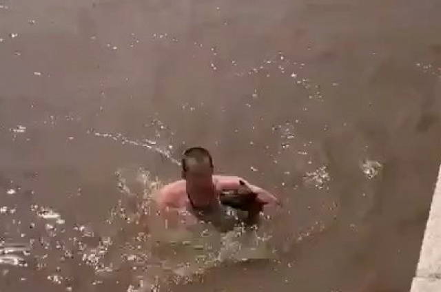 На набережной Благовещенска мужчина спас собаку из воды